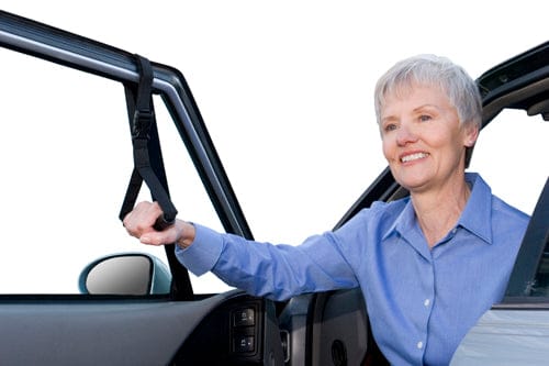 Car Caddie Helping Hand by Stander
