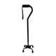 Complete Medical Mobility Products Quad Cane, Small Base, Black by Blue Jay Brand