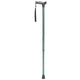 Complete Medical Mobility Products Comfort Grip Cane,Forest Green Fashion Color - Forest Green