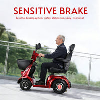 Fold & Travel Mobility WHEELCHAIR NINA Heavy-Duty All-Terrain Mobility Scooter – Dual Battery, Long Range, 800W Power