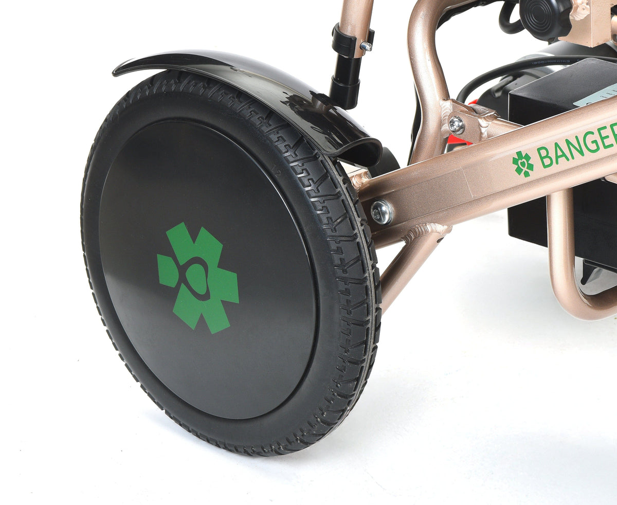 Fold & Travel Mobility Electric Wheelchair Pegasus Cerebral Palsy