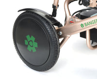 Fold & Travel Mobility Electric Wheelchair Pegasus Cerebral Palsy