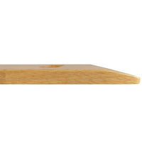 Complete Medical Aids to Daily Living Slide On Over Transfer Board Two Cutout, 10" x 32"