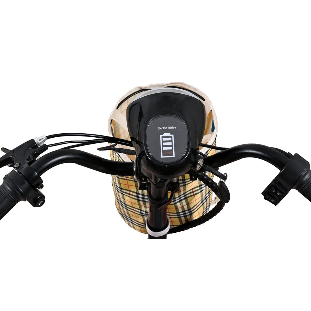 Fold & Travel Mobility Mobility Scooter Dragon Mobile EX