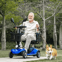 Fold & Travel Mobility Scooter Mobility Scooter D1