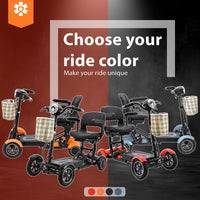 Fold & Travel Mobility Mobility Scooter Dragon Mobile EX