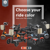 Fold & Travel Mobility Mobility Scooter Dragon Mobile EX