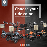Fold & Travel Mobility Mobility Scooter Dragon Mobile